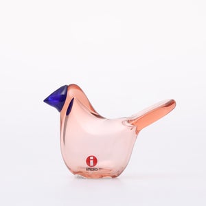 Birds Sieppo サーモンピンク×ブルー 0627