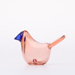 Birds Sieppo サーモンピンク×ブルー 0628