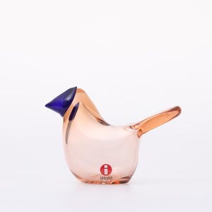 Birds Sieppo サーモンピンク×ブルー 0629