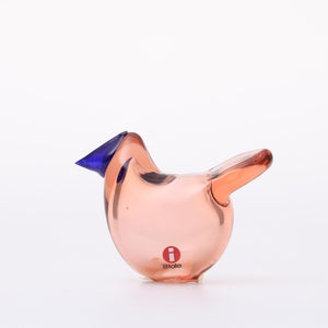 Birds Sieppo サーモンピンク×ブルー 0630