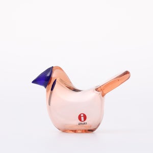 Birds Sieppo サーモンピンク×ブルー 0631