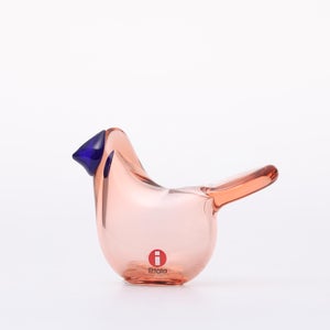 Birds Sieppo サーモンピンク×ブルー 0632