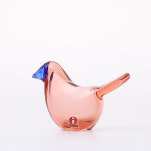 Birds Sieppo サーモンピンク×ブルー 0636