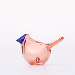 Birds Sieppo サーモンピンク×ブルー 0637