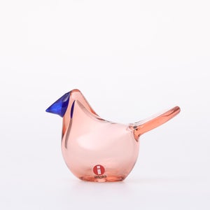 Birds Sieppo サーモンピンク×ブルー 0638