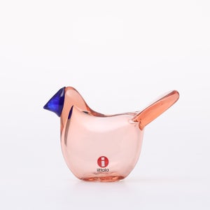 Birds Sieppo サーモンピンク×ブルー 0641