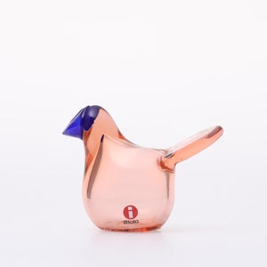 Birds Sieppo サーモンピンク×ブルー 0644