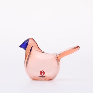 Birds Sieppo サーモンピンク×ブルー 0645