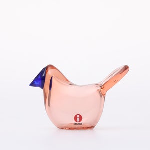 Birds Sieppo サーモンピンク×ブルー 0646