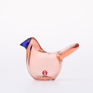 Birds Sieppo サーモンピンク×ブルー 0650