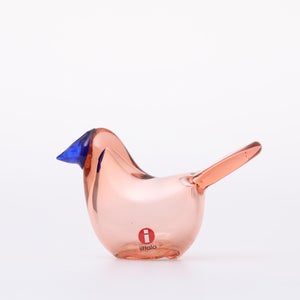 Birds Sieppo サーモンピンク×ブルー 0651