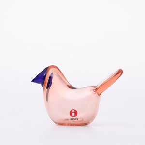 Birds Sieppo サーモンピンク×ブルー 0652