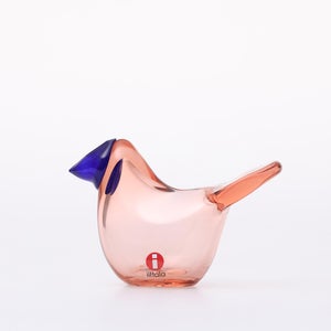 Birds Sieppo サーモンピンク×ブルー 0653