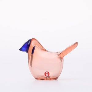 Birds Sieppo サーモンピンク×ブルー 0654