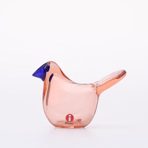 Birds Sieppo サーモンピンク×ブルー 0656