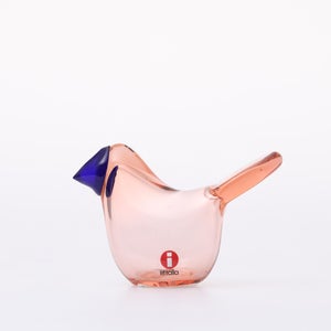 Birds Sieppo サーモンピンク×ブルー 0657