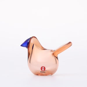 Birds Sieppo サーモンピンク×ブルー 0661