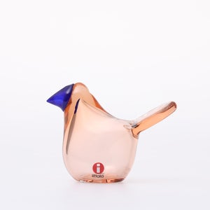 Birds Sieppo サーモンピンク×ブルー 0662