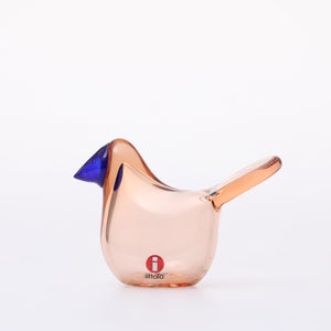 Birds Sieppo サーモンピンク×ブルー 0663