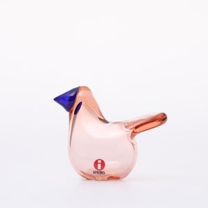 Birds Sieppo サーモンピンク×ブルー 0665