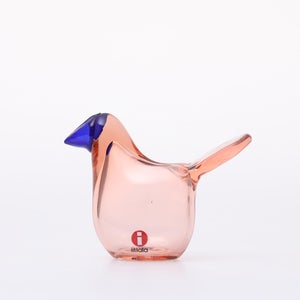 Birds Sieppo サーモンピンク×ブルー 0668