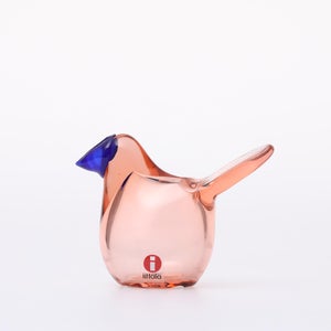 Birds Sieppo サーモンピンク×ブルー 0669