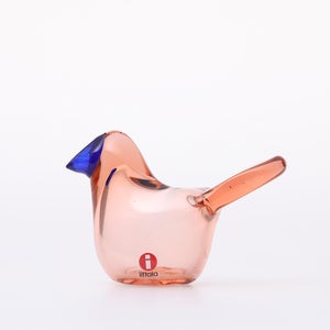 Birds Sieppo サーモンピンク×ブルー 0670