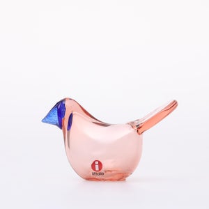 Birds Sieppo サーモンピンク×ブルー 0674