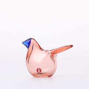 Birds Sieppo サーモンピンク×ブルー 0675