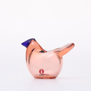 Birds Sieppo サーモンピンク×ブルー 0676