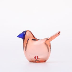 Birds Sieppo サーモンピンク×ブルー 0678