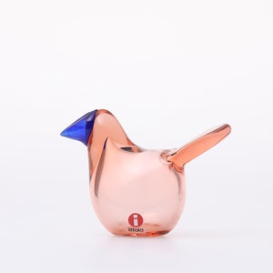 Birds Sieppo サーモンピンク×ブルー 0679