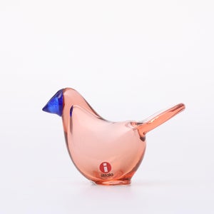 Birds Sieppo サーモンピンク×ブルー 0680