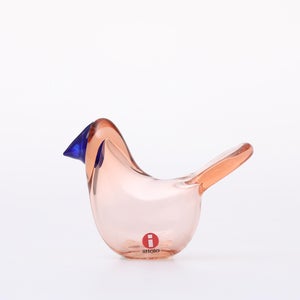 Birds Sieppo サーモンピンク×ブルー 0681