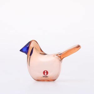 Birds Sieppo サーモンピンク×ブルー 0682