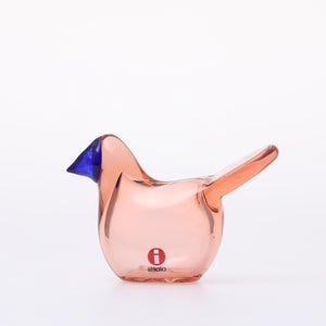 Birds Sieppo サーモンピンク×ブルー 0683