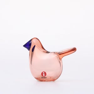 Birds Sieppo サーモンピンク×ブルー 0684