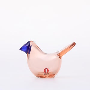 Birds Sieppo サーモンピンク×ブルー 0686