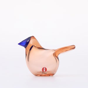 Birds Sieppo サーモンピンク×ブルー 0687