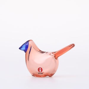 Birds Sieppo サーモンピンク×ブルー 0690