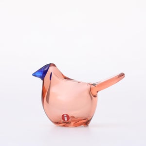 Birds Sieppo サーモンピンク×ブルー 0691