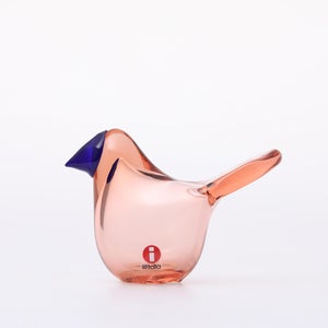 Birds Sieppo サーモンピンク×ブルー 0693