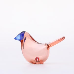 Birds Sieppo サーモンピンク×ブルー 0695