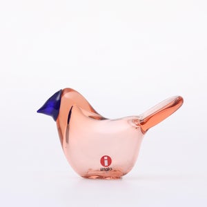 Birds Sieppo サーモンピンク×ブルー 0696