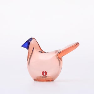 Birds Sieppo サーモンピンク×ブルー 0697