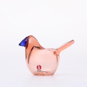 Birds Sieppo サーモンピンク×ブルー 0698