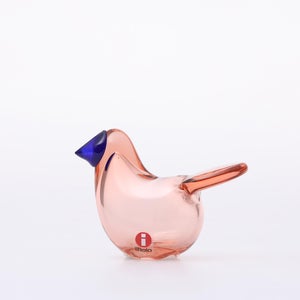 Birds Sieppo サーモンピンク×ブルー 0699