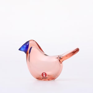 Birds Sieppo サーモンピンク×ブルー 0700