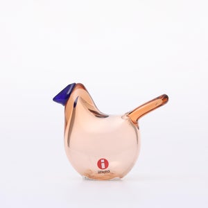 Birds Sieppo サーモンピンク×ブルー 0701