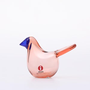 Birds Sieppo サーモンピンク×ブルー 0702